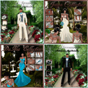 Full Wedding Collection No Re-Sell Rights!!!