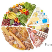 Macro-nutrient chart