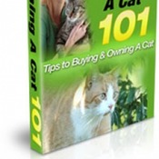Cat training guide – How to care your cat