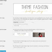 Feminine Wordpress theme responsive - wordpress template - Olivia's Fashion