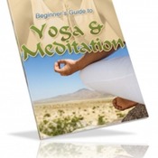 Guide to yoga and meditation. How to follow best yoga exercise practice eBook.