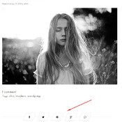 Wordpress Blog Theme - Josephine