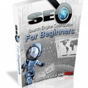 How to do SEO eBook pdf.