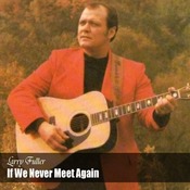 Larry Fuller - If we Never Meet Again