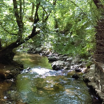 Meditation Exercise - River of Joy
