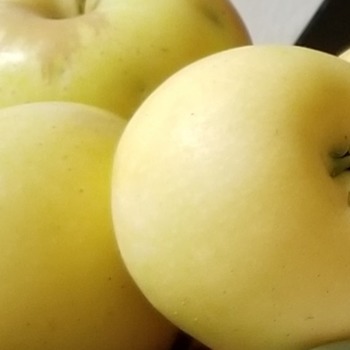 Meditation Exercise - Visiting an Orchard
