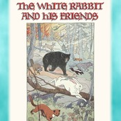5 Classic Children's colour images by EDWIN JOHN PRITTIE from BUMPER THE WHITE RABBIT AND HIS FRIENDS