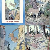 4 Classic Fairy Tale Illustrations by EDWIN J. PRETTIE from THE ADVENTURES OF WHITETAIL THE DEER