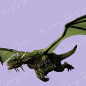 Pack 2 - 5 Green Spiny Head Dragon Images in different poses