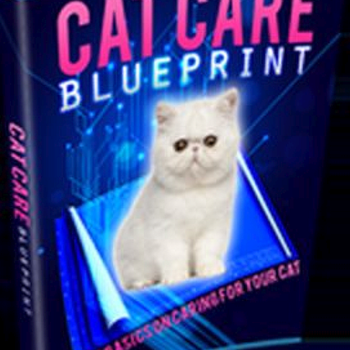Cat Care Blue Print
