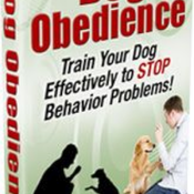 Dog Obedience