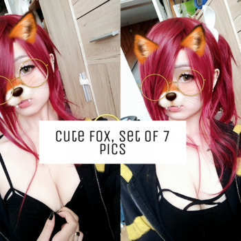 Cute fox
