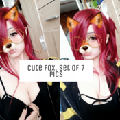 Cute fox