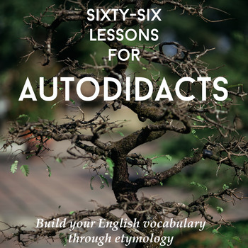 Sixty-Six Lessons for Autodidacts