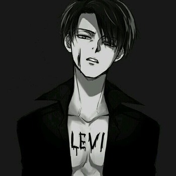 Levi Project *Attack on Titan*