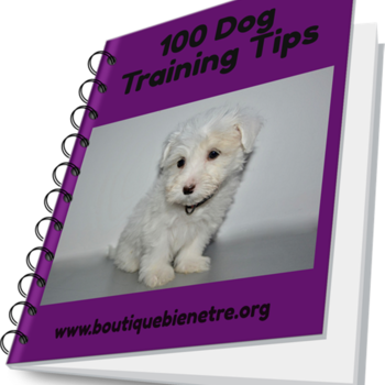 100 Dog Training Tips