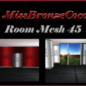 Room Mesh 45