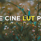 FREE CINE LUT PACK - Prantik Das