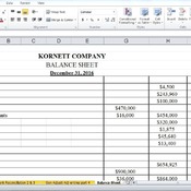 (Solved) ACC 202 Final Project - You are a manager for Peyton Approved, a pet supplies manufacturer