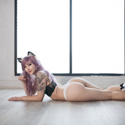 Lilac Kitten (89 photos)