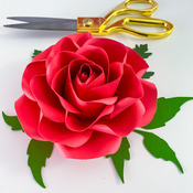 PDF Printable Tiny Rose 7 Cut Files Cutting Machine No resizing needed comes in 6 petal sizes 3-8 inches Rose Petal for bouquet