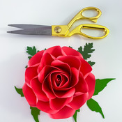 PDF Printable Tiny Rose 7 Cut Files Cutting Machine No resizing needed comes in 6 petal sizes 3-8 inches Rose Petal for bouquet