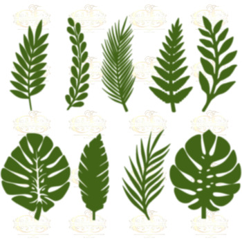 Set 13 SVG PNG DXF 9 different Tropical Leaves 1 for Paper Flowers Machine use Only Cricut and Silhouette Diy and Handmade Leaves Templates