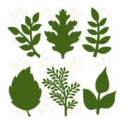 Set 15 Svg Png Dxf 6 different Leaves for Paper Flowers- MACHINE use Only (Cricut and Silhouette) DIY and Handmade Leaves Templates