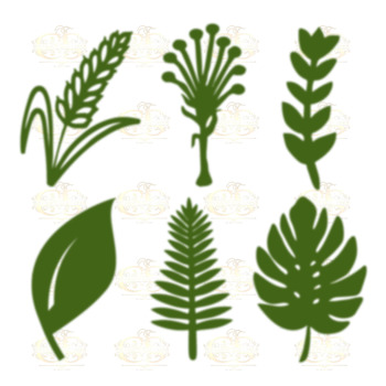 Svg PNG Dxf Set 6-6 different Leaves for Paper Flowers- MACHINE use Only (Cricut and Silhouette) DIY and Handmade Leaves Templates