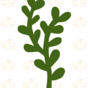 Svg/PNG Set 8-6 different Leaves for Paper Flowers- MACHINE use Only (Cricut and Silhouette) DIY and Handmade Leaves Templates