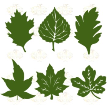 Set 18 Svg Png Dxf 6 Autumn type Leaves for Paper Flowers- MACHINE use Only (Cricut and Silhouette) DIY and Handmade Leaves Templates