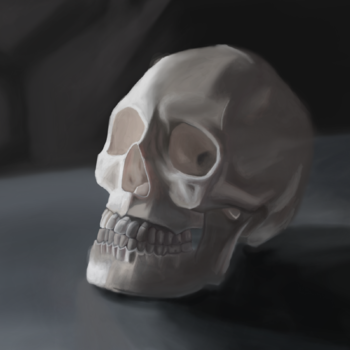 Skull