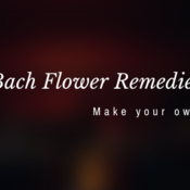 Bach Flower Remedy Workshop