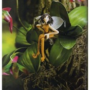 Instant download of project :Sculpting Art Dolls in Polymer Clay --fairy part 3