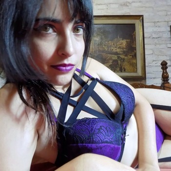 harnness and purple lingerie set