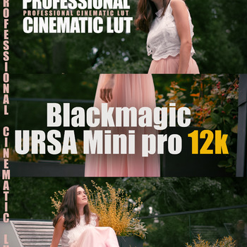 PACK PROFESSIONAL LUT (Blackmagic URSA Mini Pro 12k)