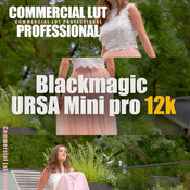 PACK PROFESSIONAL LUT (Blackmagic URSA Mini Pro 12k)