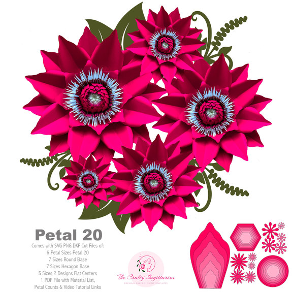 Svg Dxf Png Petal 20 Paper Flowers Template Diy Cricut And Silhouette Machines Ready 2 Free Flat