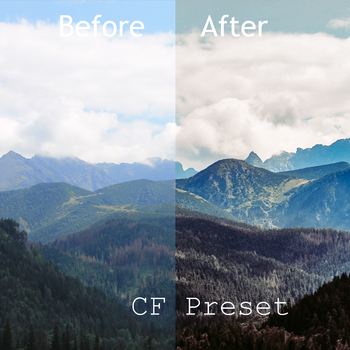 CF PREMIUM PRESET - chrisncanon