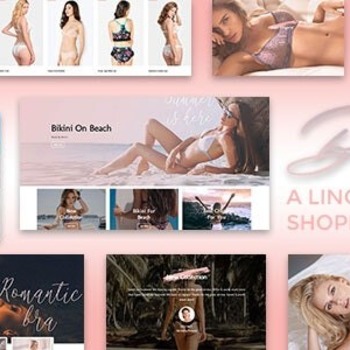 BINIM V1.0 - LINGERIE & BIKINI RESPONSIVE SHOPIFY