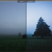5 Dark Moody Preset Lightroom & Lightroom Mobile