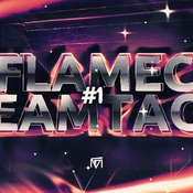 Flamec Teamtage #1