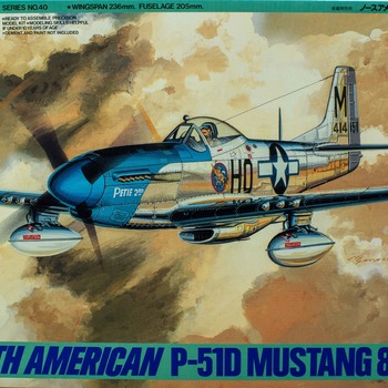 P-51D Mustang Model