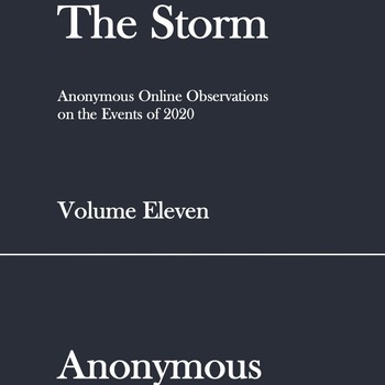 The Storm: Volume Eleven