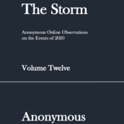 The Storm: Volume Twelve