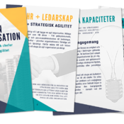 Att bygga en agil organisation - hur HR, ledningsgrupp och chefer kan bidra till strategisk agilitet