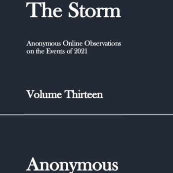 The Storm: Volume Thirteen