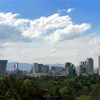 Ciudad de México entre bosques y montañas