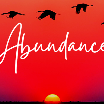 Create an Abundance Mindset