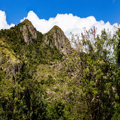 tetas de cayey